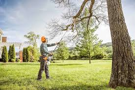 Lawn Maintenance Plans in Montgomery, PA