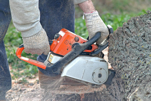 Best Lawn Irrigation Installation and Maintenance  in Montgomery, PA